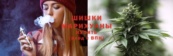 ГАЛЛЮЦИНОГЕННЫЕ ГРИБЫ Осинники