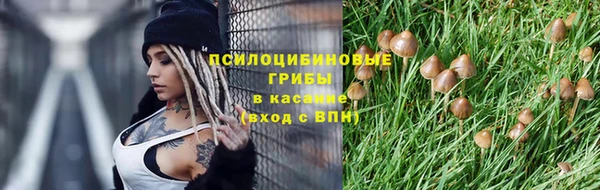apvp Ленинск