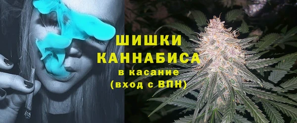 ГАЛЛЮЦИНОГЕННЫЕ ГРИБЫ Осташков