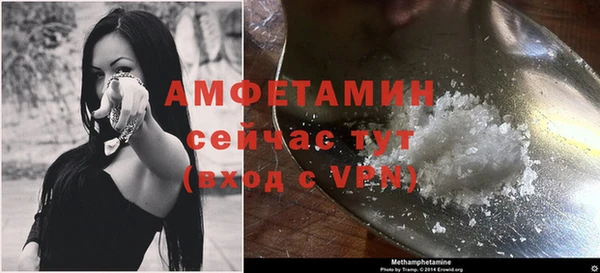ГАЛЛЮЦИНОГЕННЫЕ ГРИБЫ Осинники