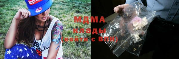 ГАЛЛЮЦИНОГЕННЫЕ ГРИБЫ Осташков