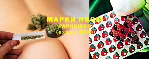 ГАЛЛЮЦИНОГЕННЫЕ ГРИБЫ Осташков